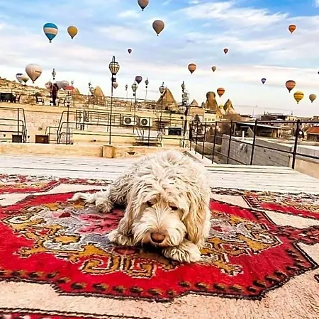 Cappadocia Caves 3*